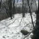 IMG-20180402-WA0006.jpeg