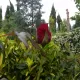 IMG_20160603_150920.jpg