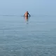 Mare